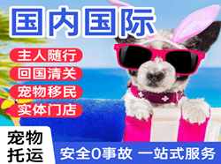 库车龟兹空运地址国际宠物托运 【国